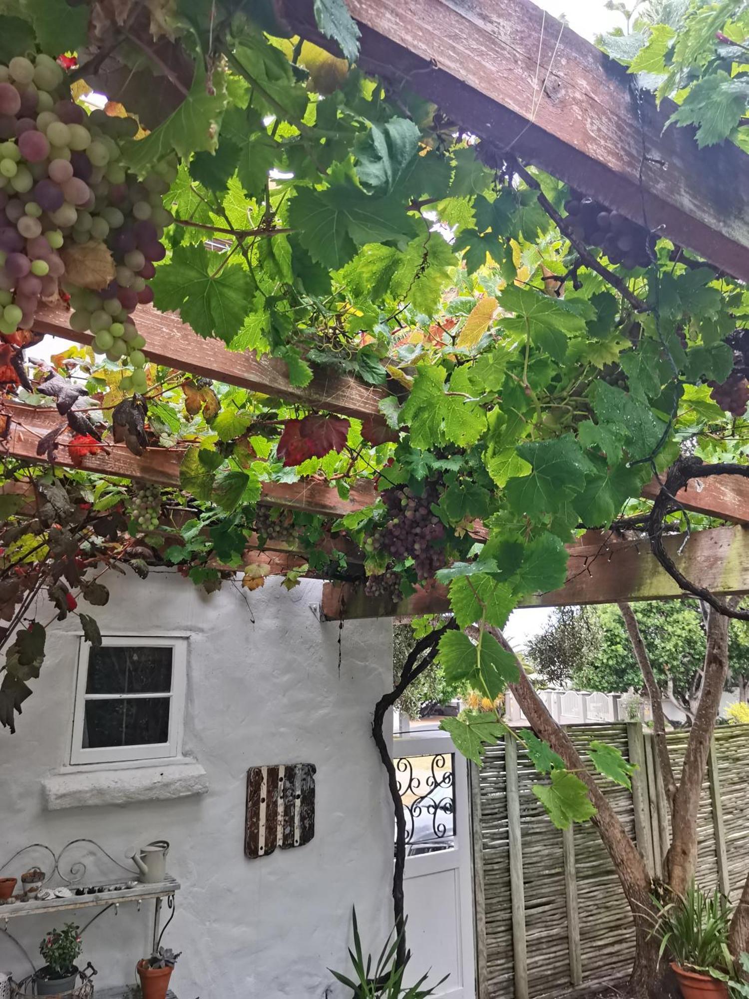 Vermont Lofts Hermanus Ngoại thất bức ảnh